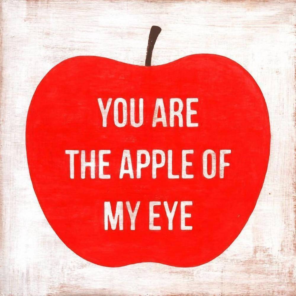 NEW SUGARBOO & CO. small you are the apple print wall decor in red/ brown